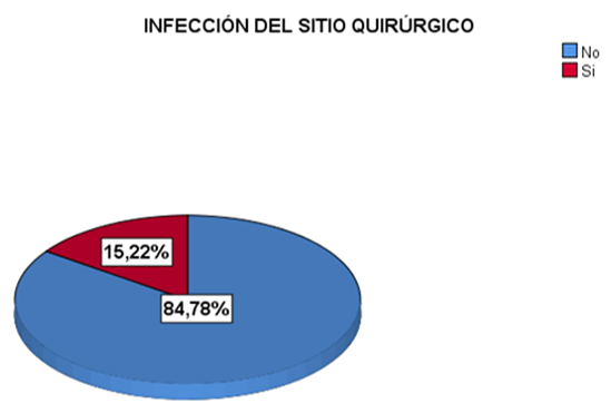 Gráfico, Gráfico circular

Descripción generada automáticamente
